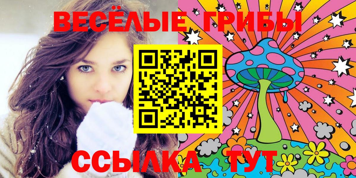 Псилоцибиновые грибы MAGIC MUSHROOMS Можга
